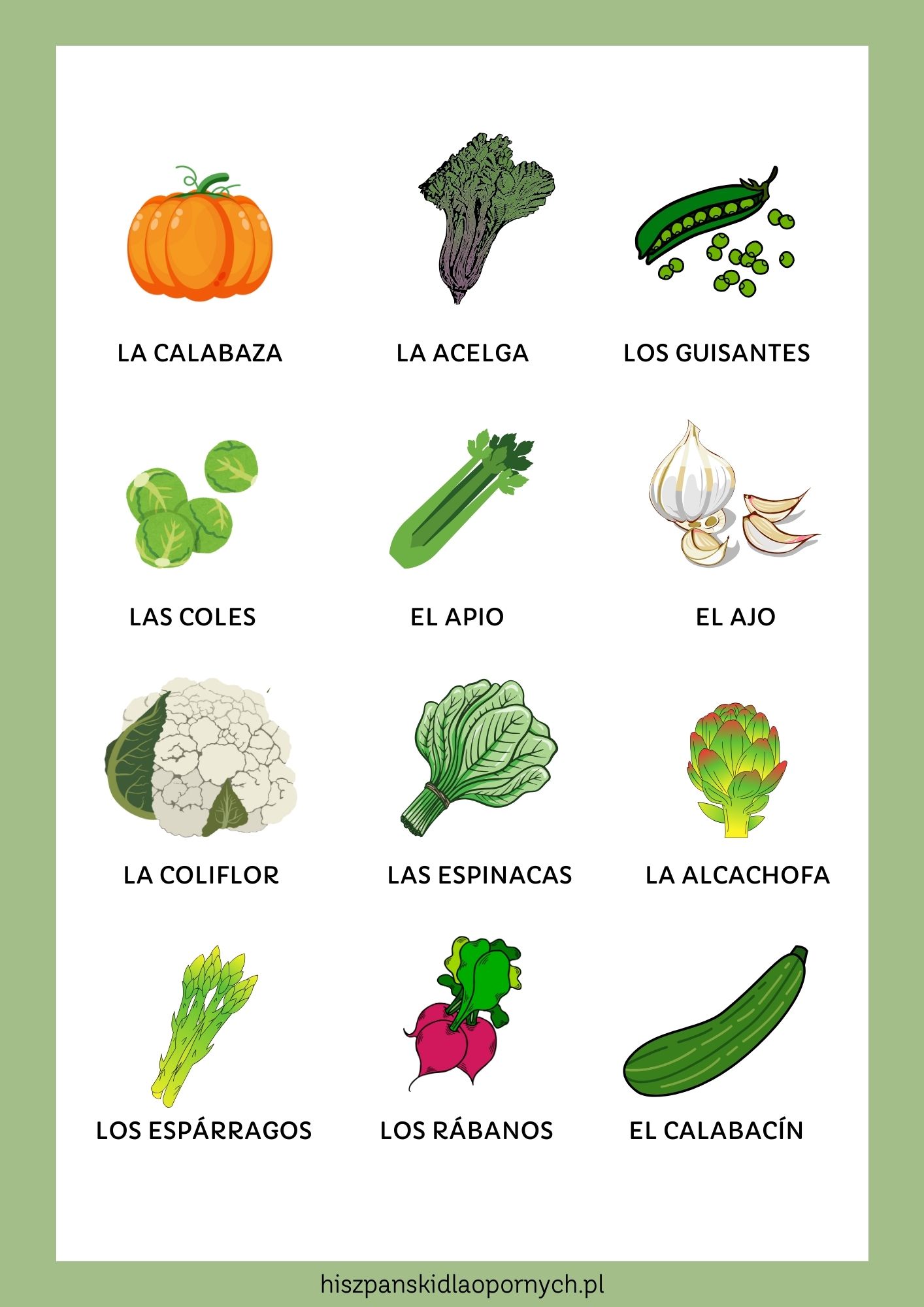 Vocabulario de las verduras (hortalizas) en español. Poznaj podstawowe nazwy warzyw po hiszpańsku, plus ciekawostki i ćwiczenia.